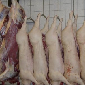 Slager-Vogels-slachtplaats